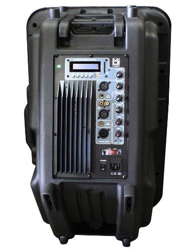 Mr. Dj PP3000MP3 15-Inch 2500-Watt Max Power Speaker with Built-In LCD/MP3/USB/SD Card Slot and Wireless Remote Control