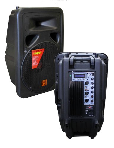 Mr. Dj PP3500MP3 15-Inch 2500 Watts Max Power Speaker with Built in LCD/AM FM Radio/ MP3/USB/SD Card Slot/Microphone