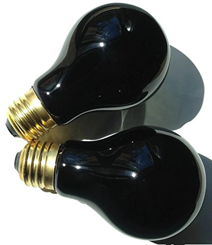 Double Pack 75 Watt Halloween Black Light Bulbs