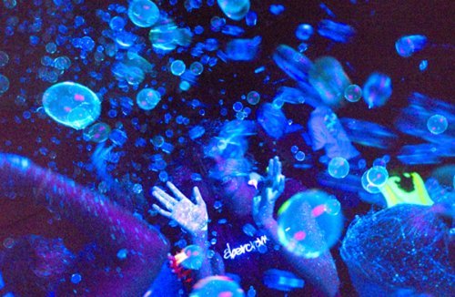 Tekno Bubbles - Blue UV Blacklight Reactive - Half Gallon - 64 Ounce