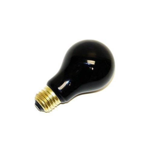 Fun World Black Light Bulb