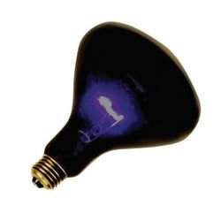 Morriscostumes Unisex Adult Black Light 75 Watt Spot Bulb