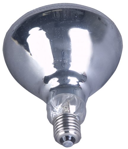 American Dj Ll Par 38 150W Medium Screw Based Par Lamp