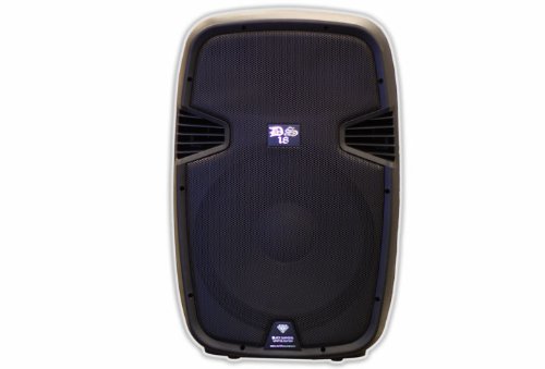 DS18 DS-PA10BT 10-Inch 1,300 Watts 2-Way Powered/Active Speaker Box with BT/FM/USB/SD/EQ/MP3/Microphone and Wheels