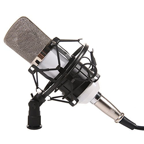 MeGooDo Condenser Microphone Sound Recording Dynamic + Mic Shock Mount, for radio broadcasting studio, voice-over sound studio, recording,ect(White)