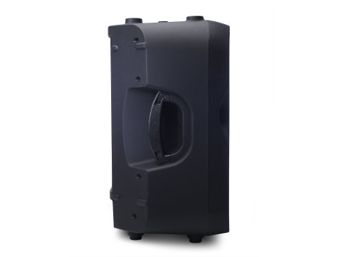 Alto Professional TS110A 10-Inch Active 2-Way PA Loudspeaker with Built-In Mixer