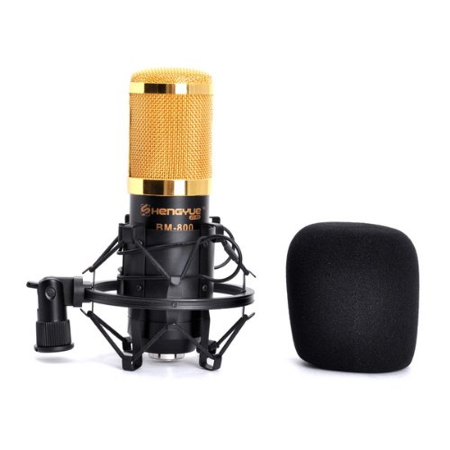 NEEWER Black Broadcasting and Recording Microphone-BM-800