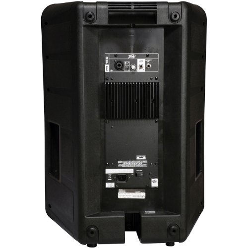 Peavey PR 15D