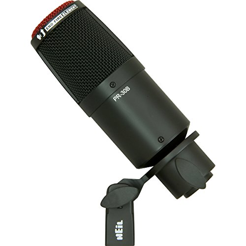 Heil Sound PR 30B Large-Diaphragm Dynamic Microphone BLACK