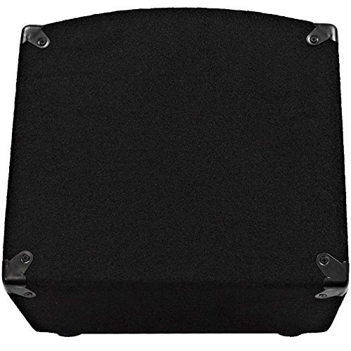 Seismic Audio - SA-12MT - Pro Audio PA/DJ 12" Monitors - 200 Watts RMS