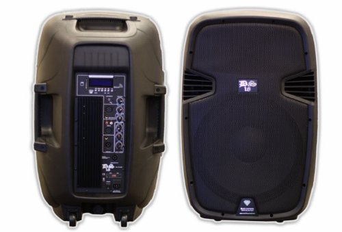 DS18 DS-PA10BT 10-Inch 1,300 Watts 2-Way Powered/Active Speaker Box with BT/FM/USB/SD/EQ/MP3/Microphone and Wheels