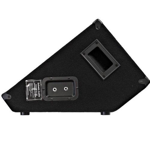 Seismic Audio SA-10MSingle Wedge Style Floor Monitor - PA/DJ