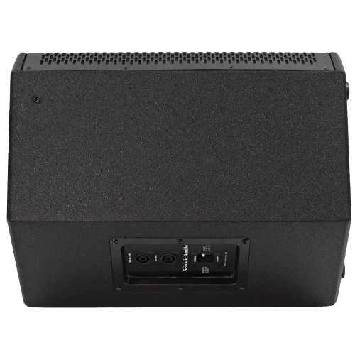 Seismic Audio - SAX-12M - Compact 12 Inch 2-Way Coaxial Floor / Stage Monitor with Titanium Horn - 250 Watts RMS - PA/DJ Stage, Studio, Live Sound 12 Inch Monitor