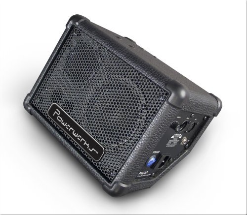 POWERWERKS PW4P 50Watt PA Monitor Stage Subwoofer