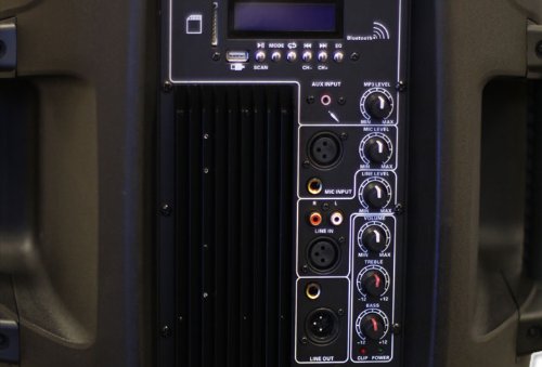 DS18 DS-PA10BT 10-Inch 1,300 Watts 2-Way Powered/Active Speaker Box with BT/FM/USB/SD/EQ/MP3/Microphone and Wheels