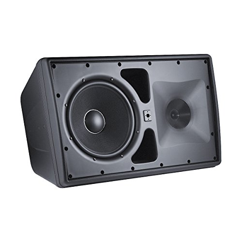 JBL Control 30 Three-Way Indoor/Outdoor Speaker Black