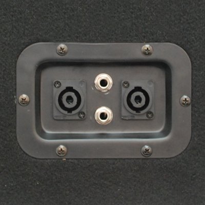 Seismic Audio - FL-10MP - Pro Audio PA/DJ 10" Monitor - 100% Birch Plywood  - 250 Watts RMS each
