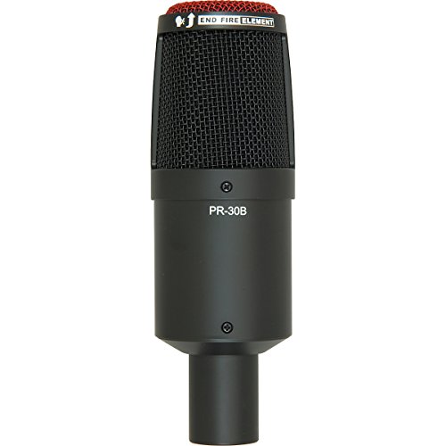 Heil Sound PR 30B Large-Diaphragm Dynamic Microphone BLACK