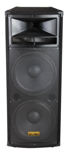 DJTECH VEGAS215 -Watt - Channel Unpowered Speaker Cabinet
