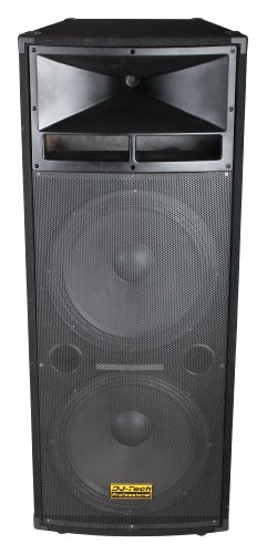 DJTECH VEGAS218 -Watt - Channel Unpowered Speaker Cabinet