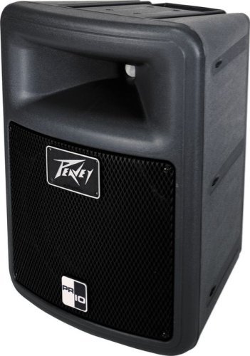 Peavey 10 Inch 2-Way Speaker Enclosure
