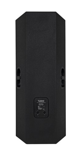 Phonic Center 215 Dual 15" 2-Way Stage Speaker
