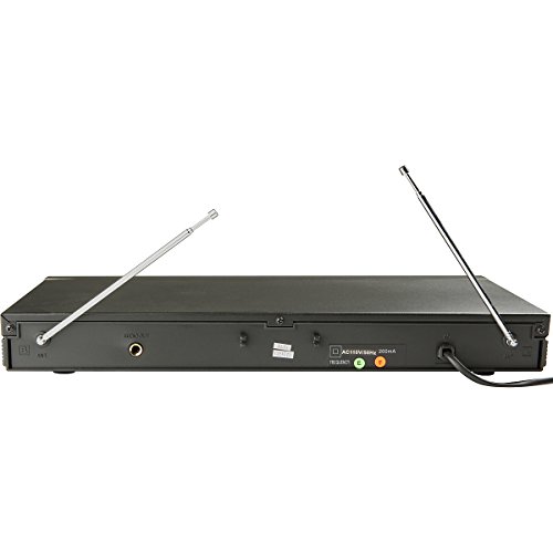 Gem Sound GMW61 Dual Wireless Microphone GH