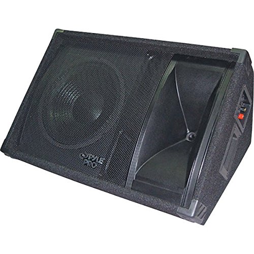 600 Watt 12in Two-Way Stage Monitor Speaker System