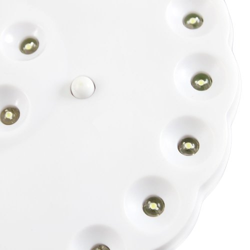 Crazy K&A 24 LED 4 AA Batteries Water-proof Plum-shaped Tent Light Lamp