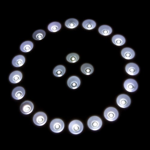 Crazy K&A 24 LED 4 AA Batteries Water-proof Plum-shaped Tent Light Lamp
